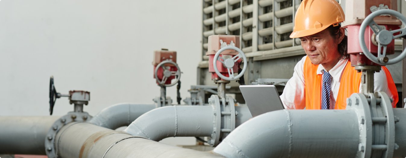 Premium red chilli drying line
